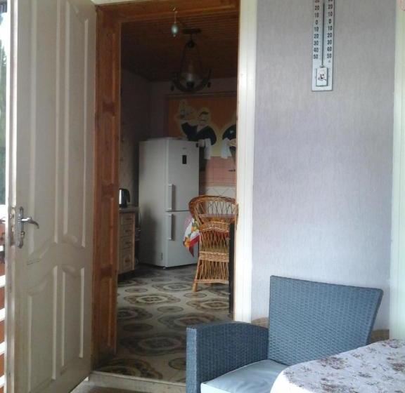 پانسیون коттедж Leleka Vyzhnynsia