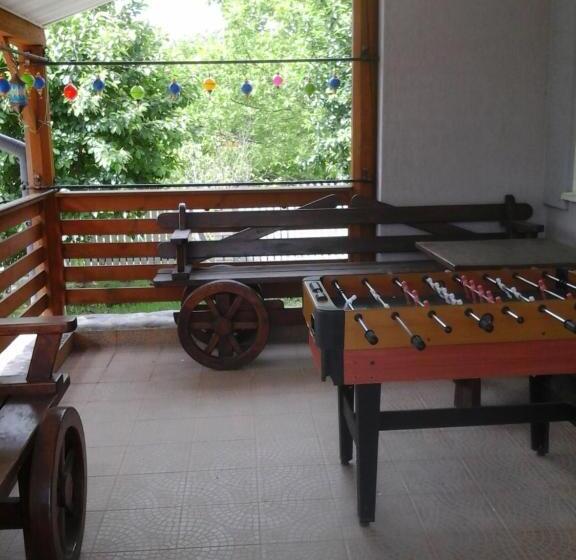 پانسیون коттедж Leleka Vyzhnynsia