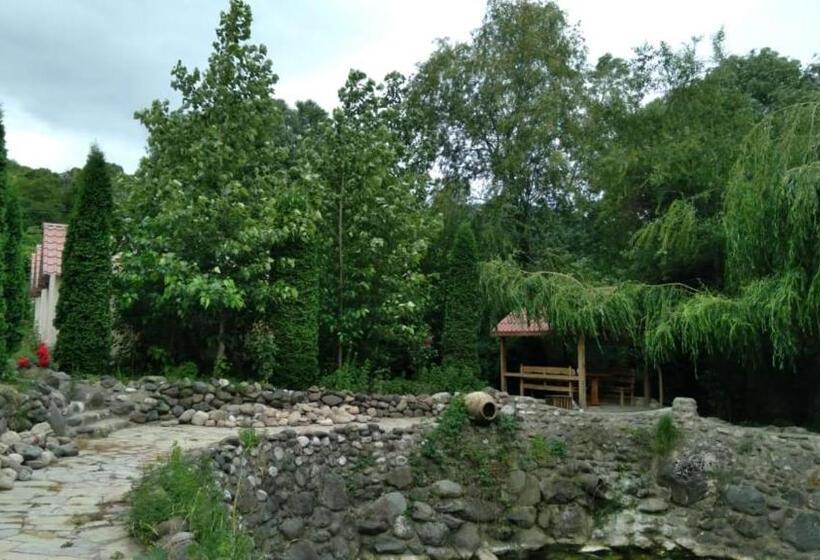 Пансион Menua