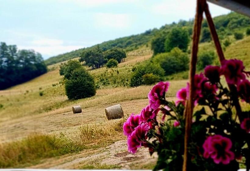 펜션 Mera Hills House