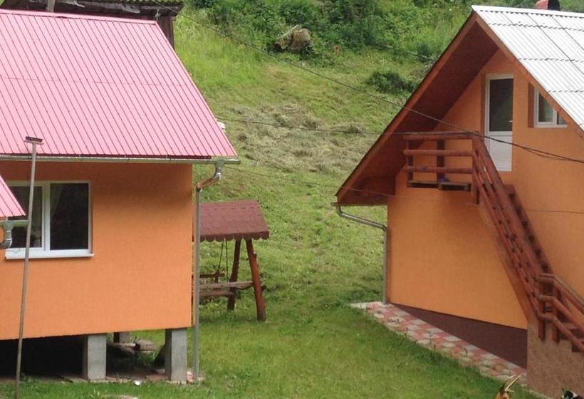 ペンション Moara Lui Ivan