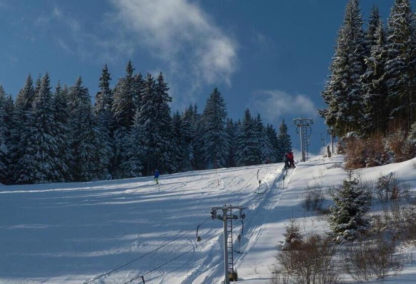 Пансион Penzion Skiland Petříkov