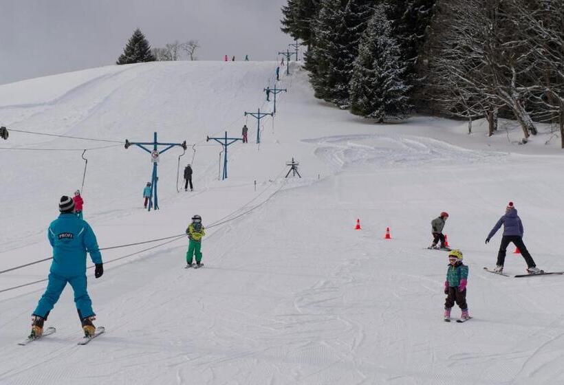 Пансион Penzion Skiland Petříkov