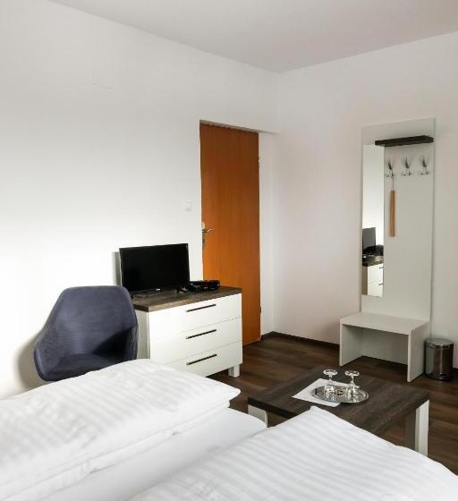 بنسيون Penzion U Hanky