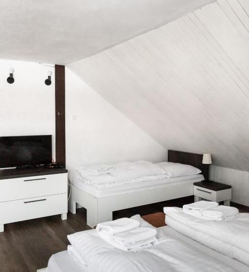 פנסיון Penzion U Hanky