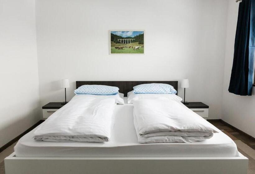 פנסיון Penzion U Hanky