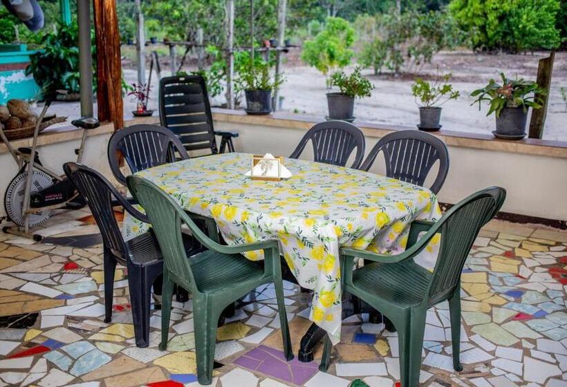 پانسیون Sonja S Guesthouse