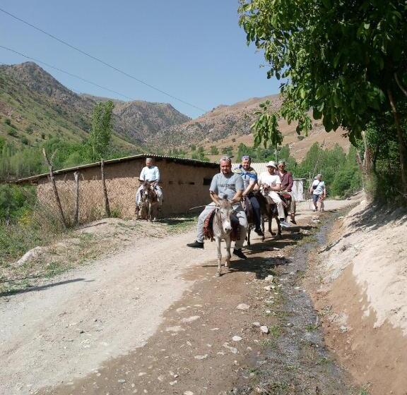 بنسيون Spring Family Guest House