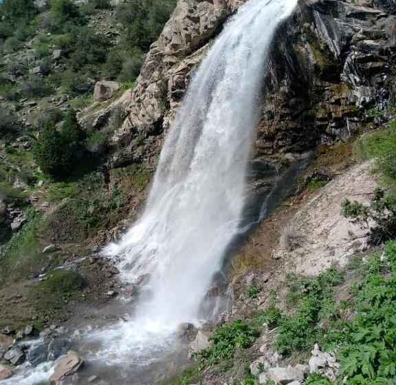 بنسيون Spring Family Guest House