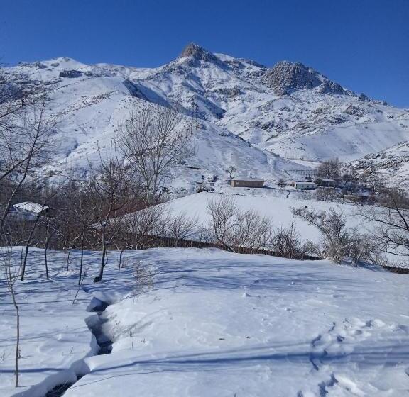 Pansiyon Spring Family Guest House