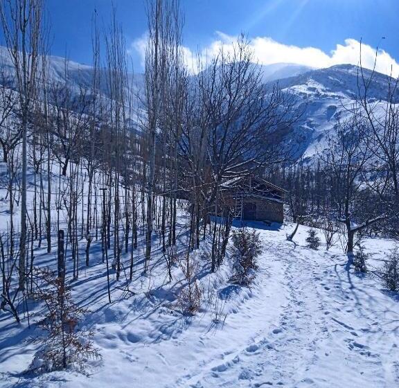 Pansiyon Spring Family Guest House