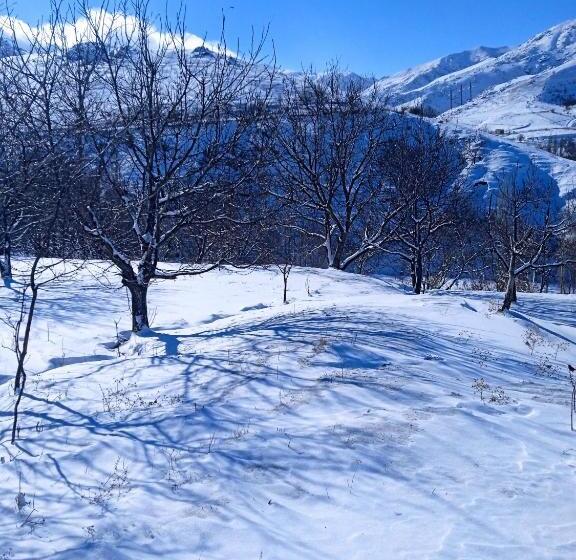 بنسيون Spring Family Guest House