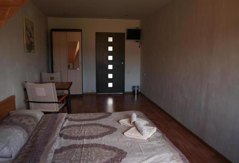 Пансион U Dvori