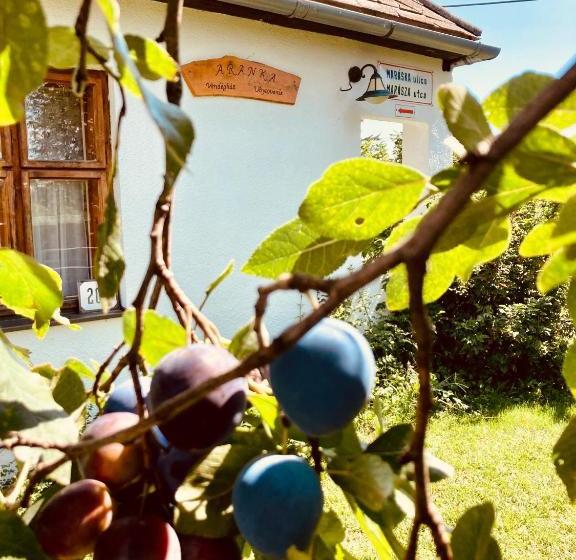 膳宿费 Ubytovanie U Aranky