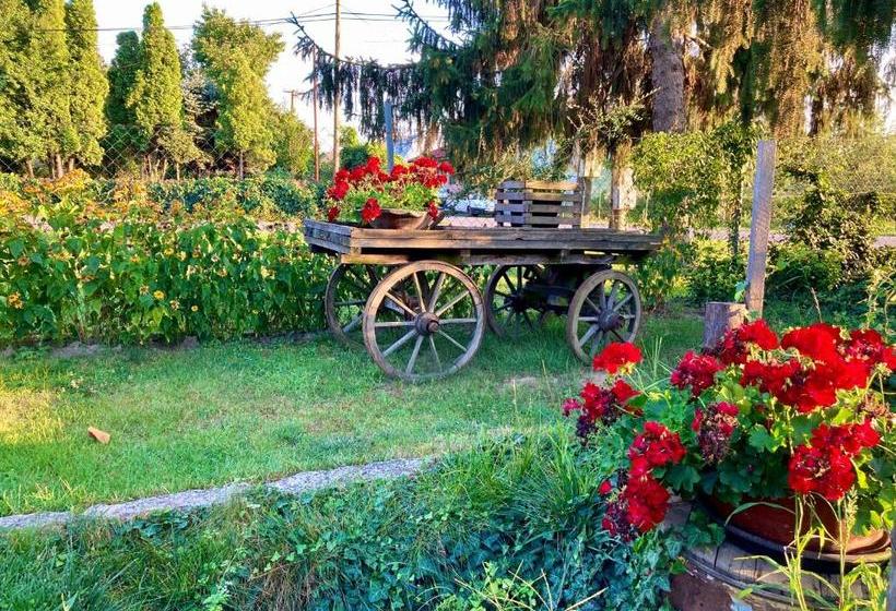 膳宿费 Ubytovanie U Aranky