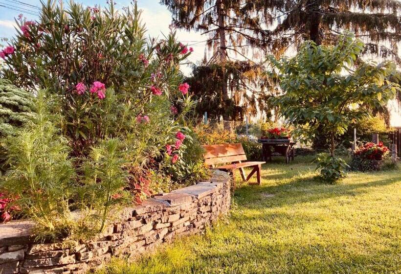 膳宿费 Ubytovanie U Aranky