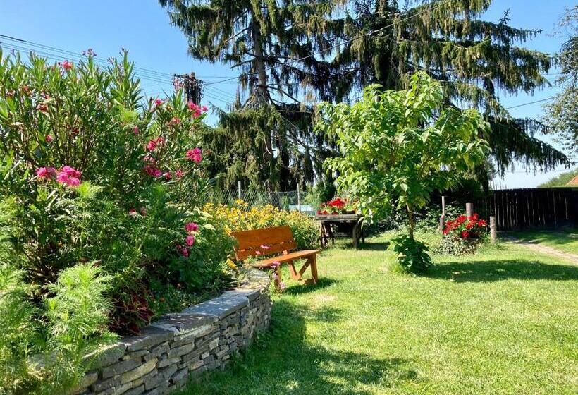 膳宿费 Ubytovanie U Aranky