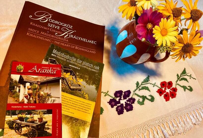 膳宿费 Ubytovanie U Aranky