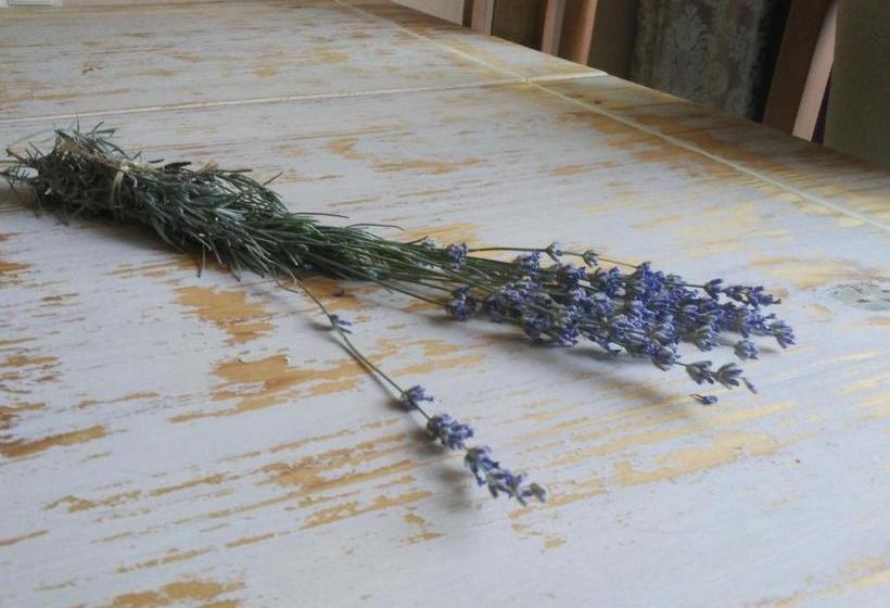 פנסיון Villa Del Grossa будинок з каміном та чаном на дровах