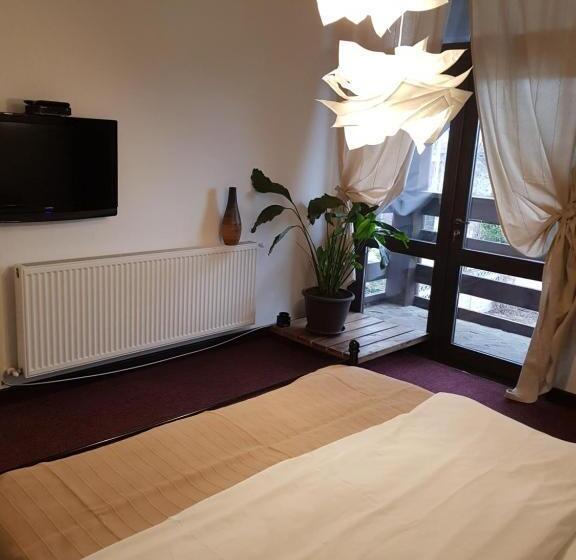 بنسيون Casa Drumetului