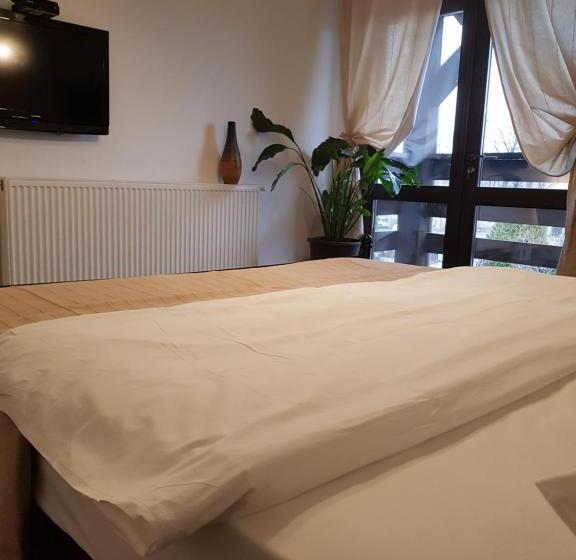 Пансион Casa Drumetului