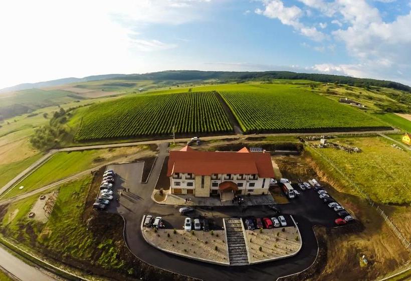 Pensiunea Kemsilvanum Fort Silvan