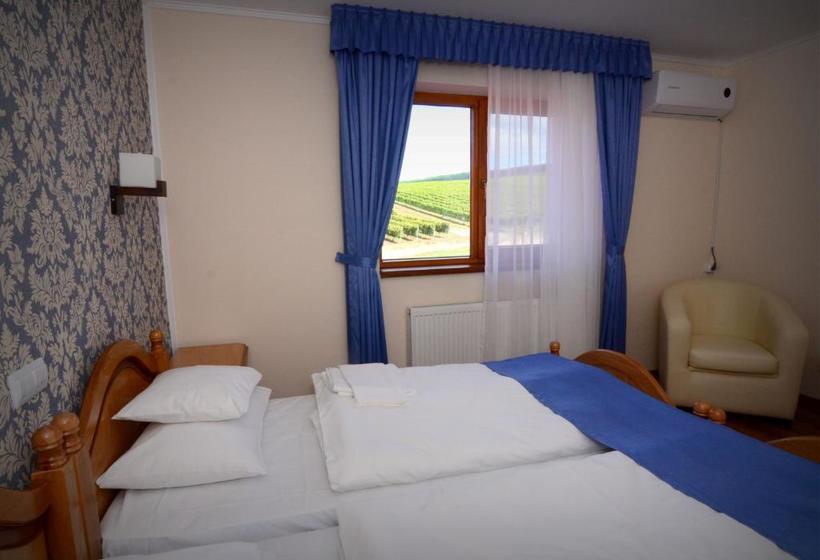 Pensiunea Kemsilvanum Fort Silvan