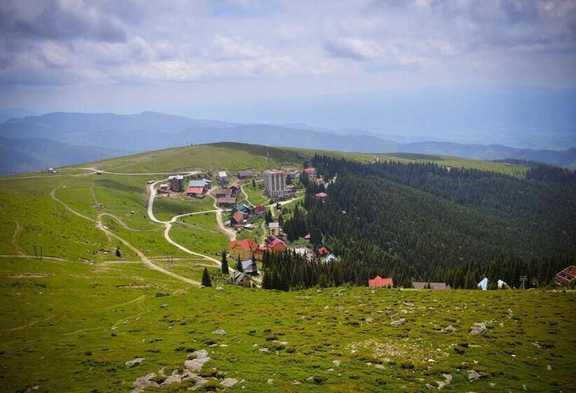Pensiunea Montana Muntele Mic