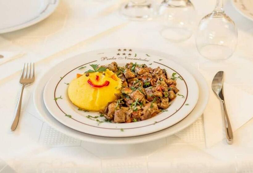 Pensiunea Perla Neamtului