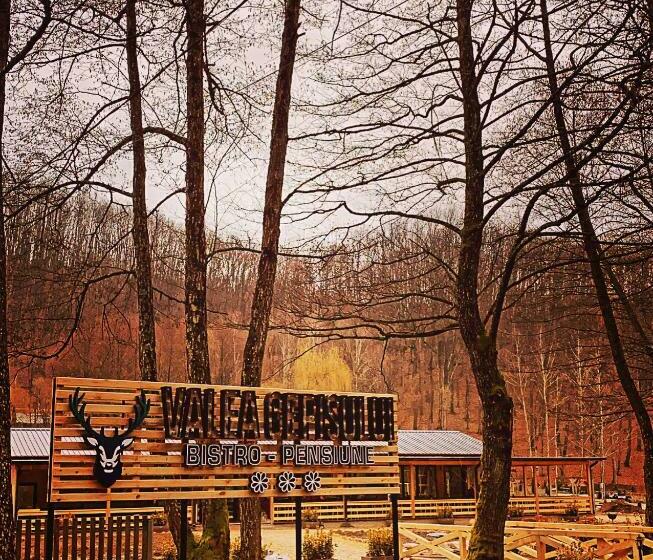 Pensiunea Valea Gepisului