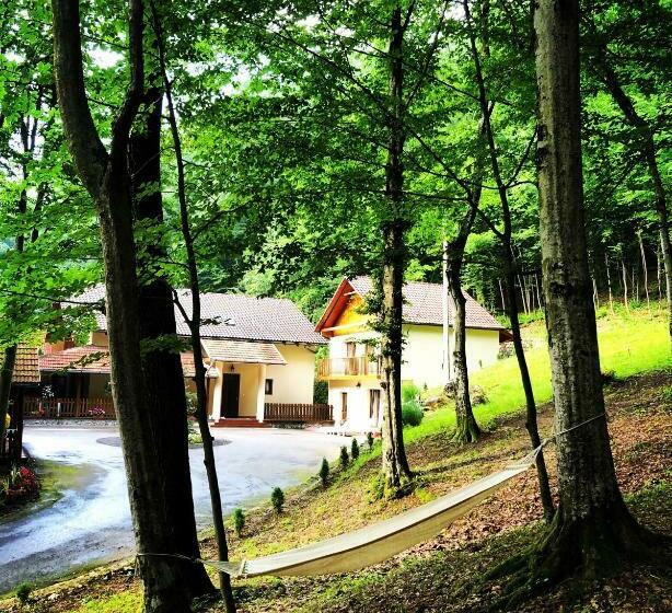 Pensiunea Valea Gepisului