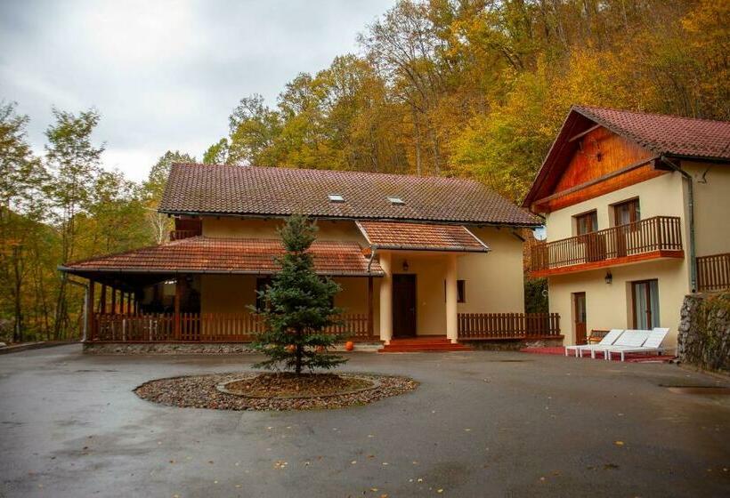 Pensiunea Valea Gepisului