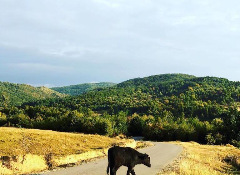 Pensiunea Valea Gepisului