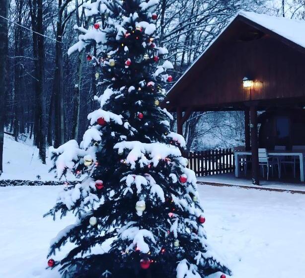 Pensiunea Valea Gepisului