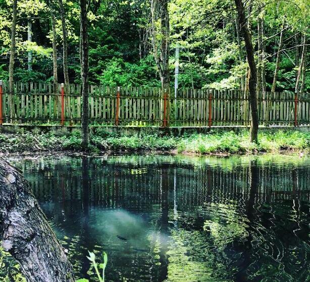 Pensiunea Valea Gepisului