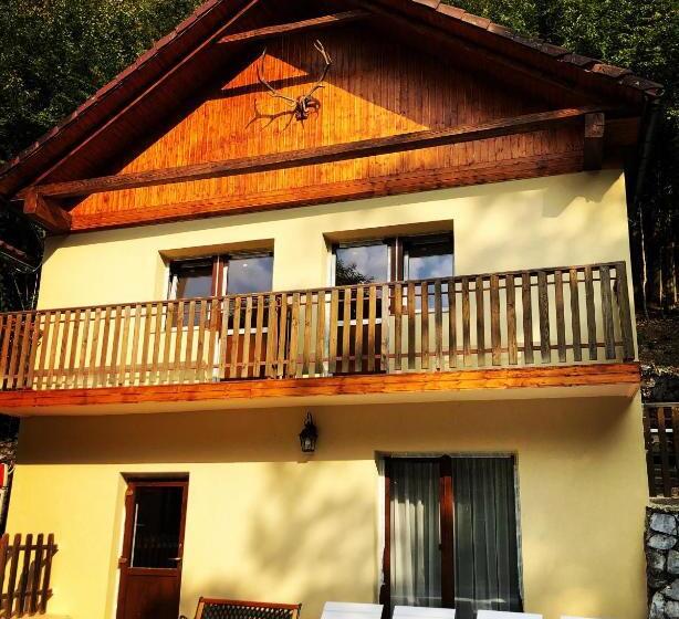 Pensiunea Valea Gepisului