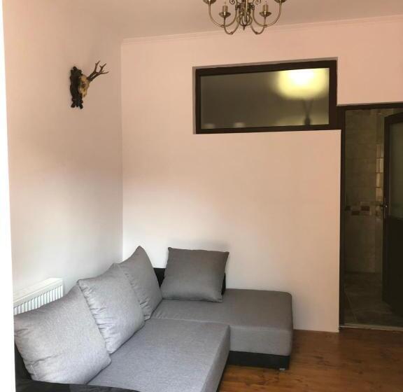 Pensiunea Valea Gepisului