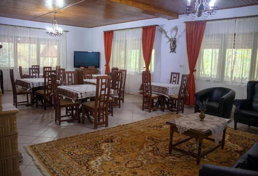 Pensiunea Valea Gepisului