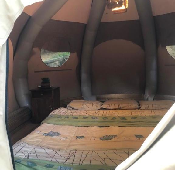 Surrey Bird Sanctuary & Holiday Resort