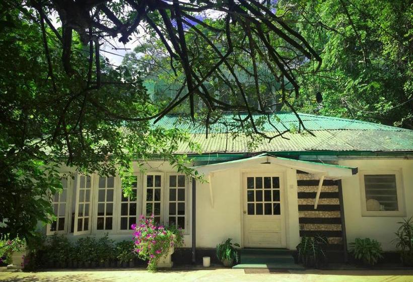 Surrey Bird Sanctuary & Holiday Resort