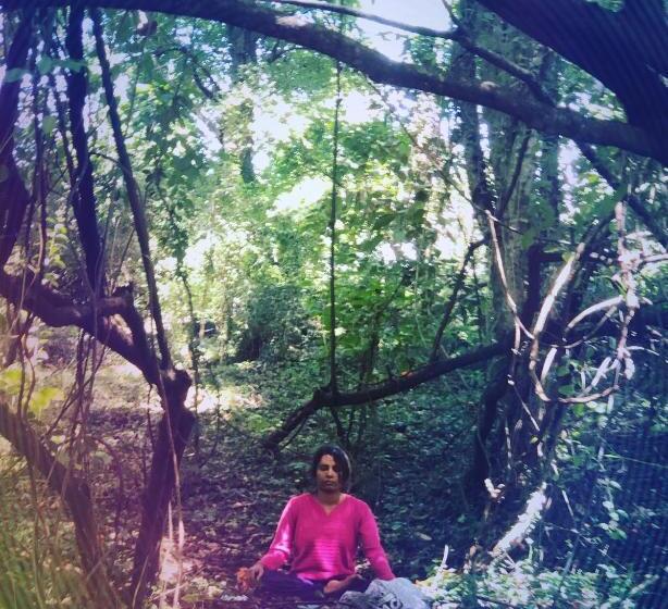 Surrey Bird Sanctuary & Holiday Resort