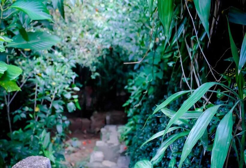 Surrey Bird Sanctuary & Holiday Resort