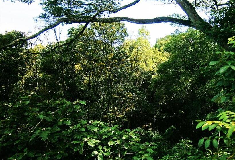 Surrey Bird Sanctuary & Holiday Resort