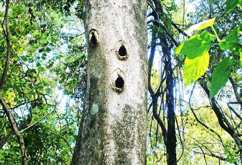 Surrey Bird Sanctuary & Holiday Resort