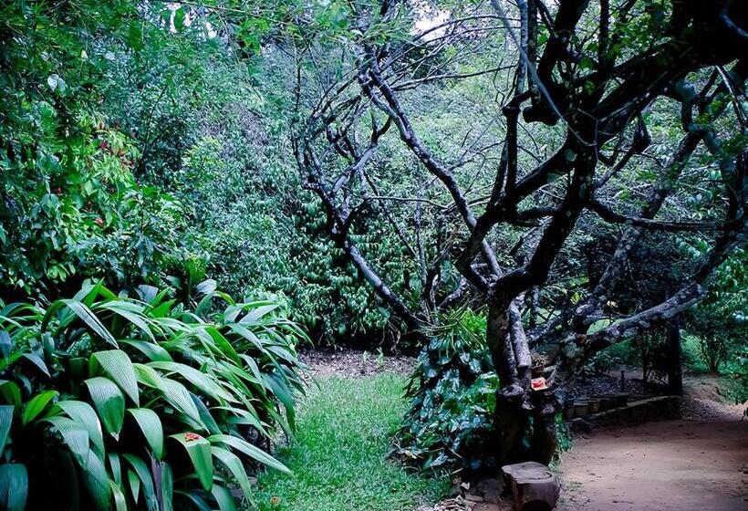 Surrey Bird Sanctuary & Holiday Resort