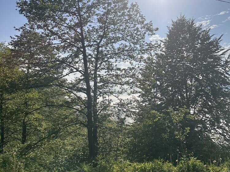 Zeyti̇ndali Yayla Otel