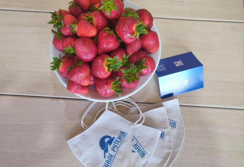 шале рутенія   Chalet Rutenia Apartments