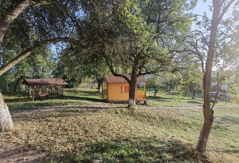 הוסטל Jugendzentrum Seligstadt