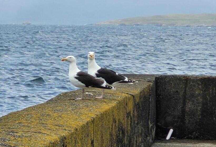 Anam Sona Seaview B&b