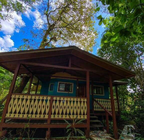 Bed and Breakfast Andrea Cristina